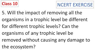 Will the impact of removing all the organisms in a trophic level be different for different trophic [upl. by Eisoj]