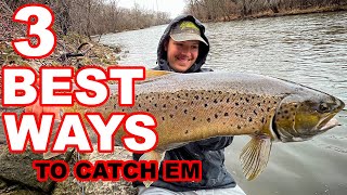 TOP 3 Baits You NEED To Catch HUGE TROUT From Shore [upl. by Sonahpets]