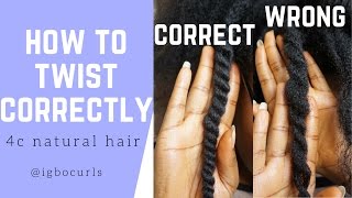 How To Twist Natural Hair Properly for Twist Outs [upl. by Nadab]