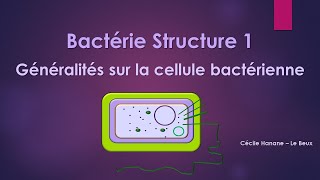 Bactérie Structure 1 BACTERIE [upl. by Brinna974]