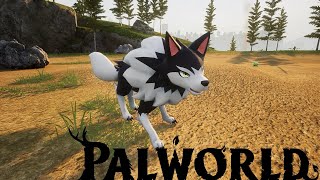 Palworld Affrontiamo Direhowl [upl. by Reggie]