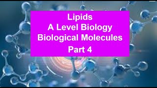 Part 4 Lipids  Biological Molecules [upl. by Tsai801]