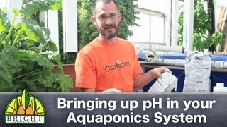 Bringing up pH in Aquaponics systems [upl. by Einyaj]