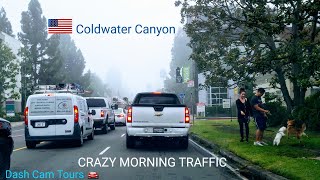 DCT🚘 Coldwater Canyon Daily morning rush hour traffic Los Angeles California USA [upl. by Zeke]