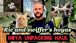 Rare Hoya Unboxing Haul from Surisa in Thailand [upl. by Atel]