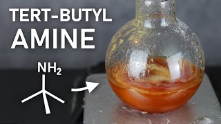 Making TertButylamine A Stinky Precursor to an Even Stinkier Isocyanide [upl. by Croner952]