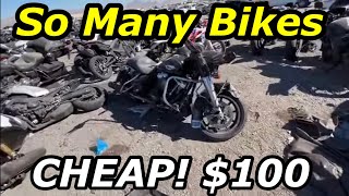 Copart Walk Around Motorcycles Many Cheap Harley Davidsons [upl. by Wilhelmina841]