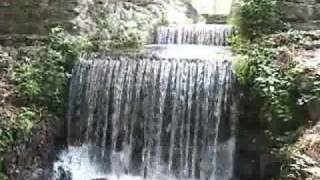 Poinsett State Park Waterfall [upl. by Vastha]