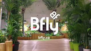 Bfly  Expérience magique à Québec  Volière à papillons et labyrinthe de miroirs [upl. by Averir]