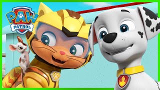 Cat Pack amp Moto Pups Rescue Episodes  PAW Patrol  Cartoons for Kids Compilation [upl. by Menedez]