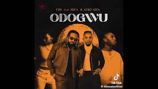 Afronitaa new song ODOGWU is out now ghana tiktokviral viral Afronitaa [upl. by Alyakcim]