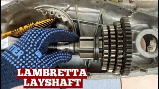 How To Use Lambretta Layshaft Explained For Massive Growth [upl. by Landmeier]