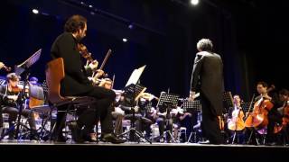 Beethoven 5ème symphonie 1er mouvement extrait [upl. by Baalman432]