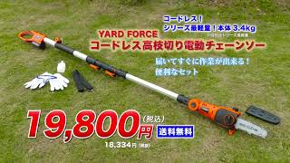 YARD FORCE コードレス18V高枝チェーンソーY3LS C20 PTD0 [upl. by Dolli]