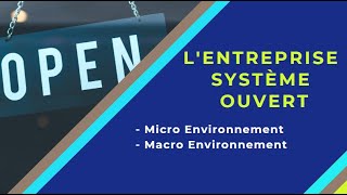 📌EOAE 1ère Bac Sc Eco  Lentreprise et son Environnement 10 👉Le quotMicro et Macroquot Environnement [upl. by Naarah]