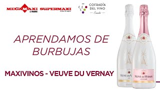 Aprendamos sobre burbujas junto a Veuve du Vernay Webinars de Julio 2024 [upl. by Malley]