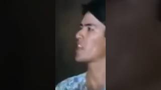 Bossing Vic Sotto Highlights [upl. by Oiramej]