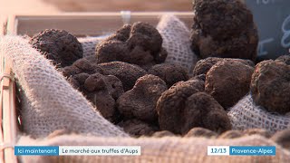 Direction Aups et son célèbre marché de la truffe [upl. by Aicercal]