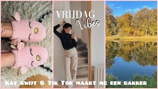 TIK TOK LAAT MIJ BAKKEN amp MIJN KAT KWIJT  Weekvlog 48 [upl. by Arlene738]