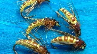 Tying the McPhail Caddis Pupa by Davie McPhail [upl. by Meda]