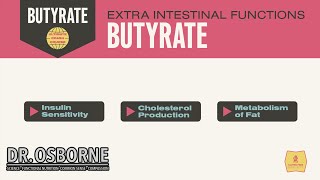 Extra Intestinal Functions of Butyrate [upl. by Margalo]