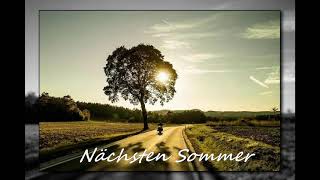 Matthias Reim  Nächsten Sommer [upl. by Nicola]