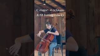 Arpeggio Competition Winner Can you hear the difference celloplayer classicalmusic cello [upl. by Mcarthur572]