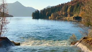 Bildschirmschoner Walchensee  Mündung Rißbach in 4K [upl. by Childers]