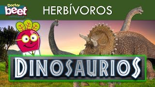 🦖 DINOSAURIOS HERBIVOROS PARA NIÑOS EN ESPAÑOL Preescolar [upl. by Hadeis]