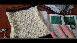 leçon point de tricot Broderie Anglaise technique de maille allongée [upl. by Templas167]