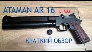 ATAMAN AR16 краткий обзор [upl. by Atiraj]