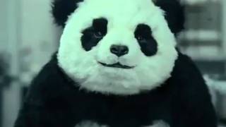 Panda Cheese Commercials All 5 [upl. by Enehpets761]