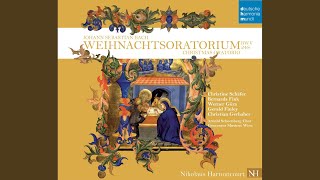 Weihnachtsoratorium BWV 248 Part I For the First Day of Christmas 8 Aria Bass  Großer [upl. by Sharleen]