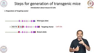 Cells of Immune SystemTransgenesis  2 [upl. by Bale]