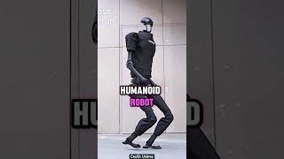 Chinas Humanoid Robots Assemble [upl. by Girish]