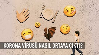 Korona virüsü nasıl ortaya çıktı 🤔 Virüs bulaşıcı mı [upl. by Geraldina]