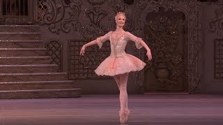 Dance of the Sugar Plum Fairy from The Nutcracker The Royal Ballet [upl. by Harvard]