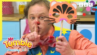 Its Time to Craft  Mr Tumble and Friends [upl. by Maritsa]