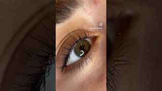 How to curl pin straight lashes lashlift lashtransformation soloesthetician huntingtonbeach [upl. by Rahab224]