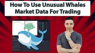 How To Use Unusual Whales Market Data For Trading [upl. by Helfant]