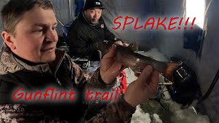 Sight fishing Splake on the Gunflint trail [upl. by Mada]