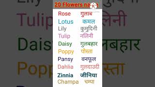 flowers name  20 flower names  10 flowers name  fulo ke nam  shorts  Kids Play and Learn [upl. by Ahsian]