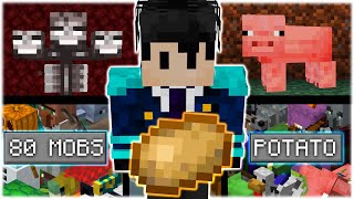 How I Killed Every Minecraft Mob With Just a Potato [upl. by Elinet825]