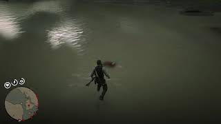 Red Dead Redemption 2 Colhereiro localização  SPOONBILL PLUMES Best Location [upl. by Ardnoet]