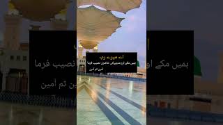 MashaAllah SubhanAllah beautiful videos viralvideo naatstatus shortsshortsyoutube [upl. by Cutler]