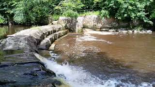 Salmon Leap Weir Fish Pass River Esk Yorkshire [upl. by Artenak]