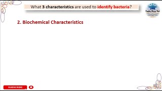 Biochemical Characteristics  what 3 characteristics are used to identify bacteria laboratory [upl. by Anitnelav]