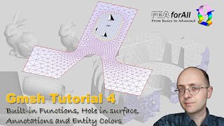 GMSH tutorial 4 Built in functions Hole in surface Annotations and Entity colors [upl. by Rialcnis828]