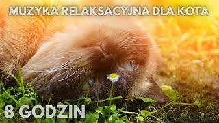 68😺Muzyka relaksacyjna która spowoduje że twój kot zaśnie na 100  😺KOŁYSANKA DLA KOTA [upl. by Romeu]