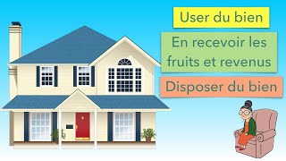 ✅ Comprendre l’Usufruit  Situation animée [upl. by Yelsek381]